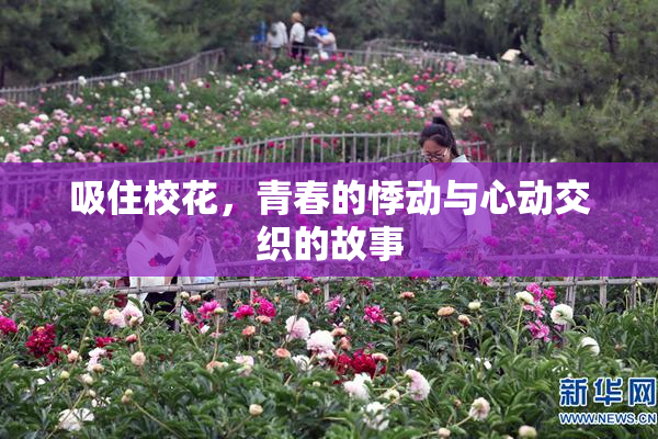 吸住校花，青春的悸动与心动交织的故事
