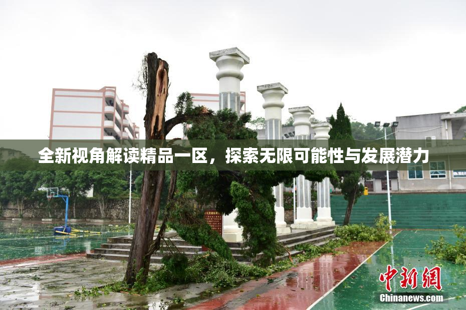 全新视角解读精品一区，探索无限可能性与发展潜力