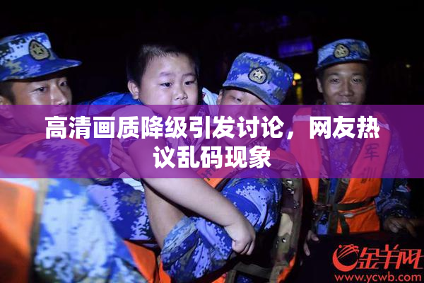 高清画质降级引发讨论，网友热议乱码现象