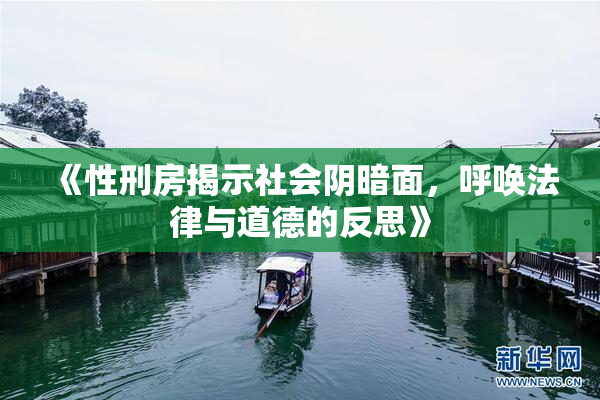 《性刑房揭示社会阴暗面，呼唤法律与道德的反思》