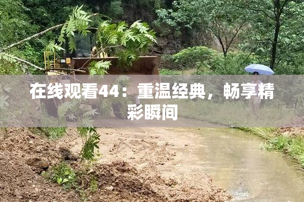 在线观看44：重温经典，畅享精彩瞬间