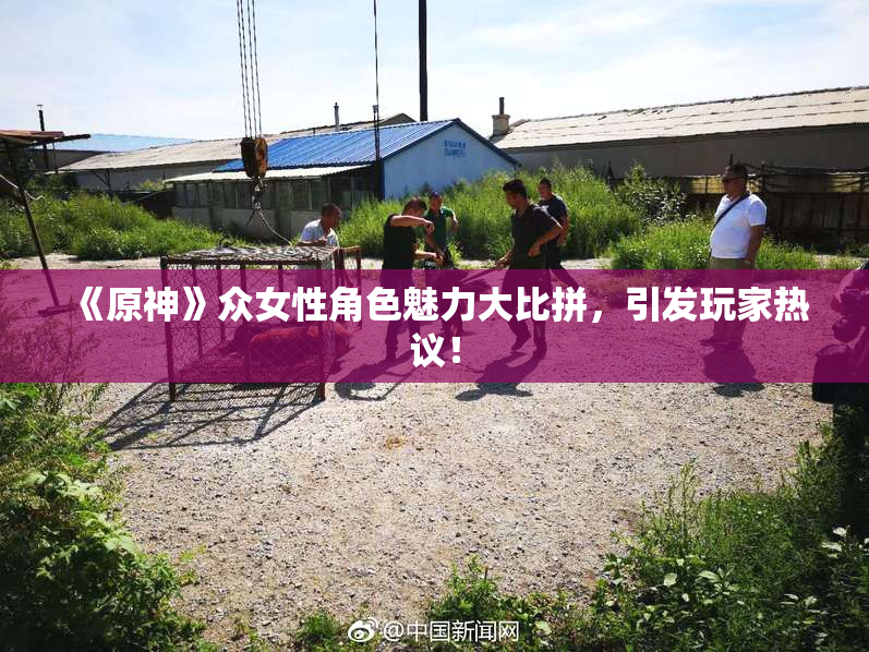 《原神》众女性角色魅力大比拼，引发玩家热议！