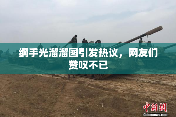 纲手光溜溜图引发热议，网友们赞叹不已