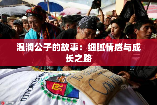 温润公子的故事：细腻情感与成长之路