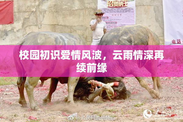 校园初识爱情风波，云雨情深再续前缘