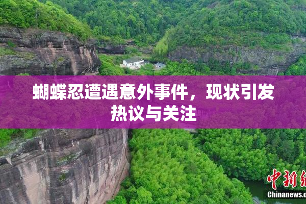 蝴蝶忍遭遇意外事件，现状引发热议与关注