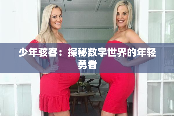 少年骇客：探秘数字世界的年轻勇者
