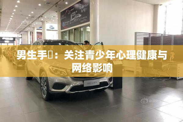男生手婬：关注青少年心理健康与网络影响