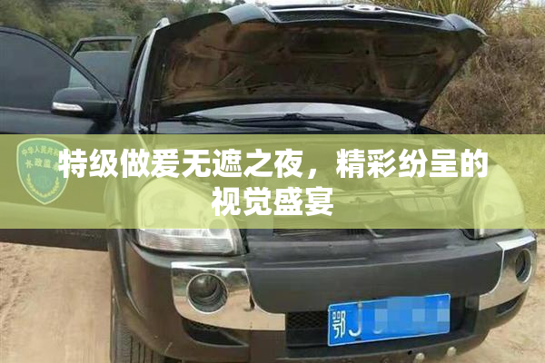 特级做爰无遮之夜，精彩纷呈的视觉盛宴