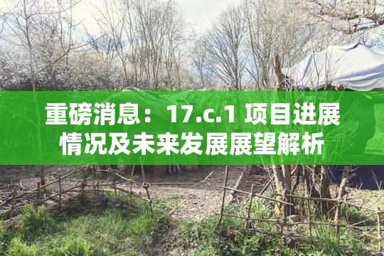 重磅消息：17.c.1 项目进展情况及未来发展展望解析