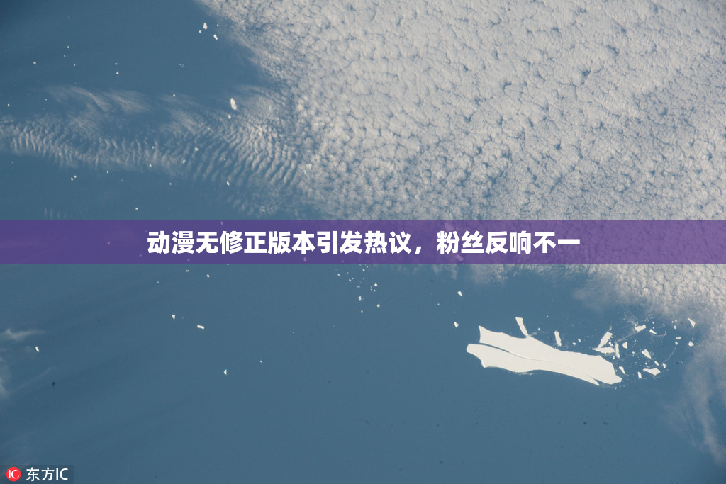 动漫无修正版本引发热议，粉丝反响不一
