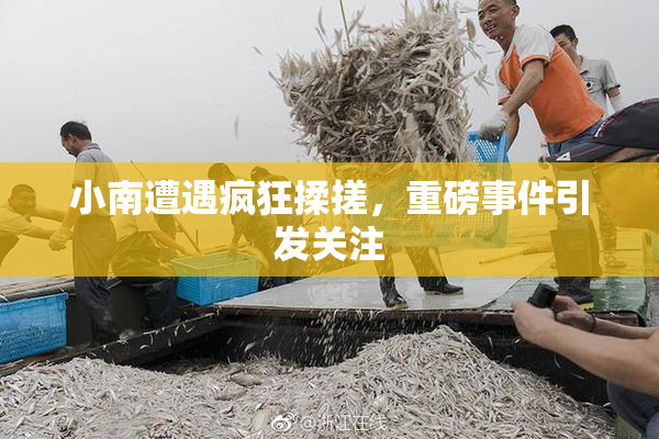 小南遭遇疯狂揉搓，重磅事件引发关注