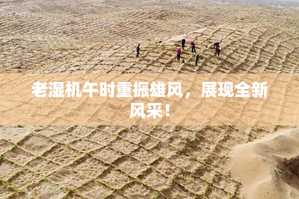 老湿机午时重振雄风，展现全新风采！