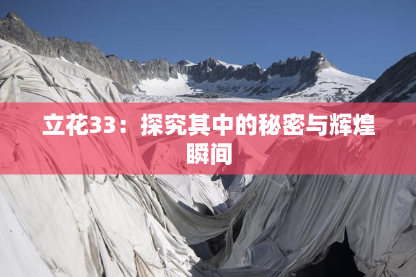 立花33：探究其中的秘密与辉煌瞬间
