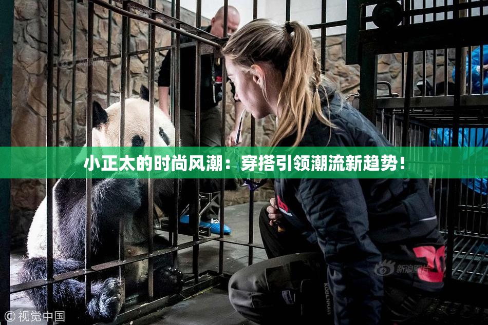 小正太的时尚风潮：穿搭引领潮流新趋势！