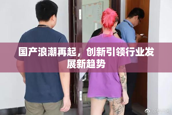 国产浪潮再起，创新引领行业发展新趋势