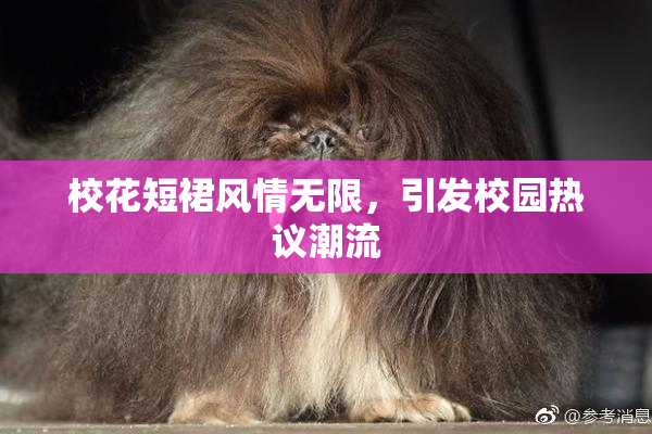 校花短裙风情无限，引发校园热议潮流
