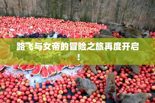 路飞与女帝的冒险之旅再度开启！