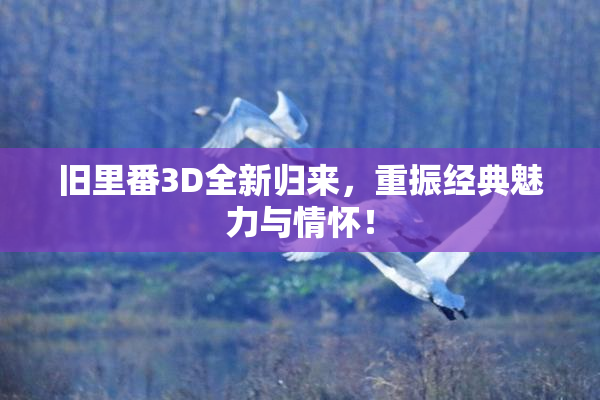 旧里番3D全新归来，重振经典魅力与情怀！
