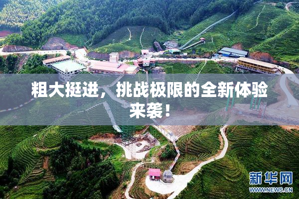 粗大挺进，挑战极限的全新体验来袭！