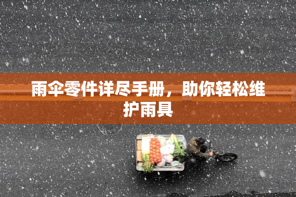 雨伞零件详尽手册，助你轻松维护雨具