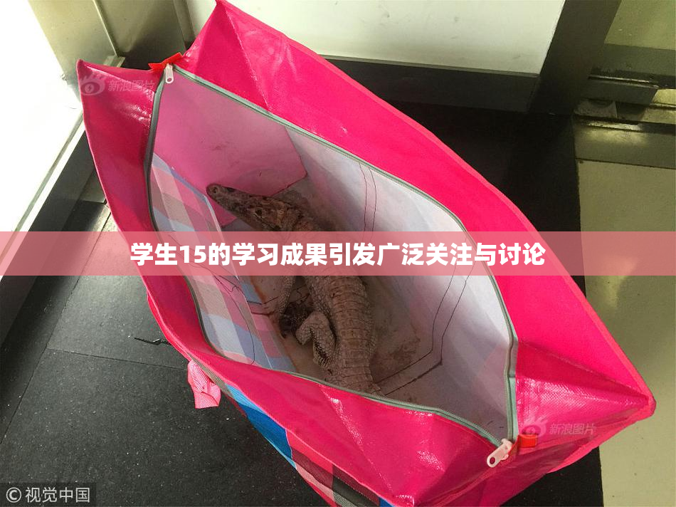 学生15的学习成果引发广泛关注与讨论