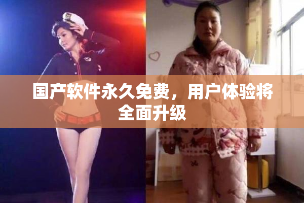 国产软件永久免费，用户体验将全面升级