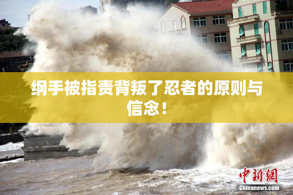 纲手被指责背叛了忍者的原则与信念！