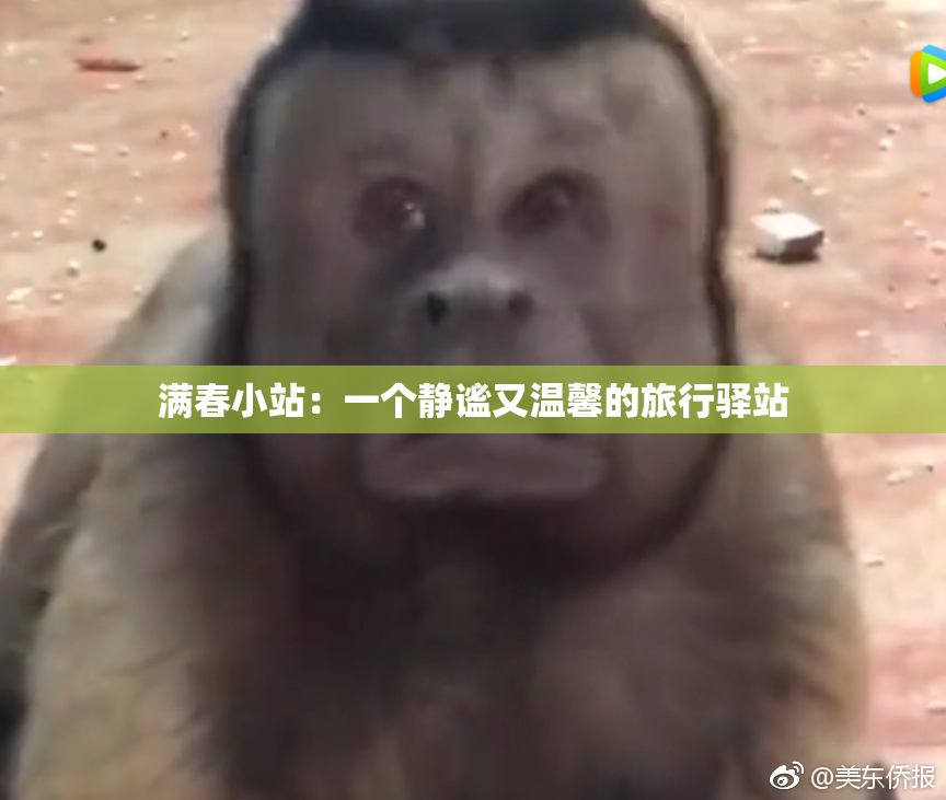 满春小站：一个静谧又温馨的旅行驿站