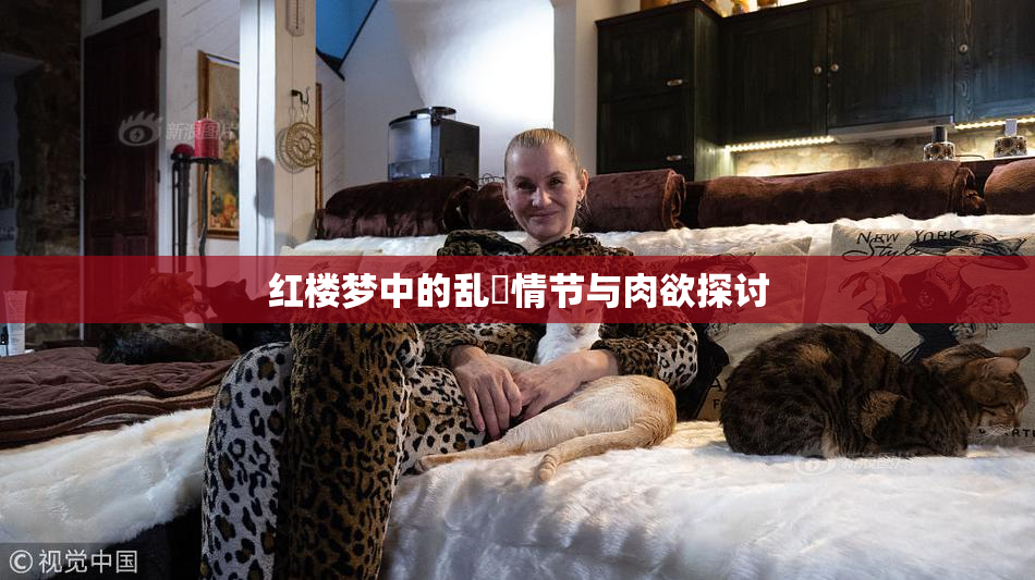 红楼梦中的乱婬情节与肉欲探讨