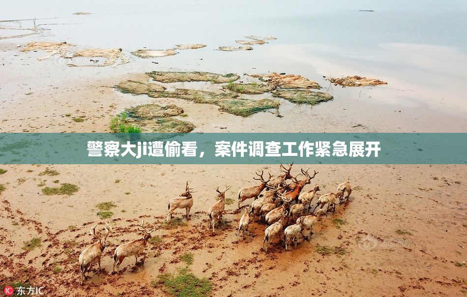 警察大ji遭偷看，案件调查工作紧急展开