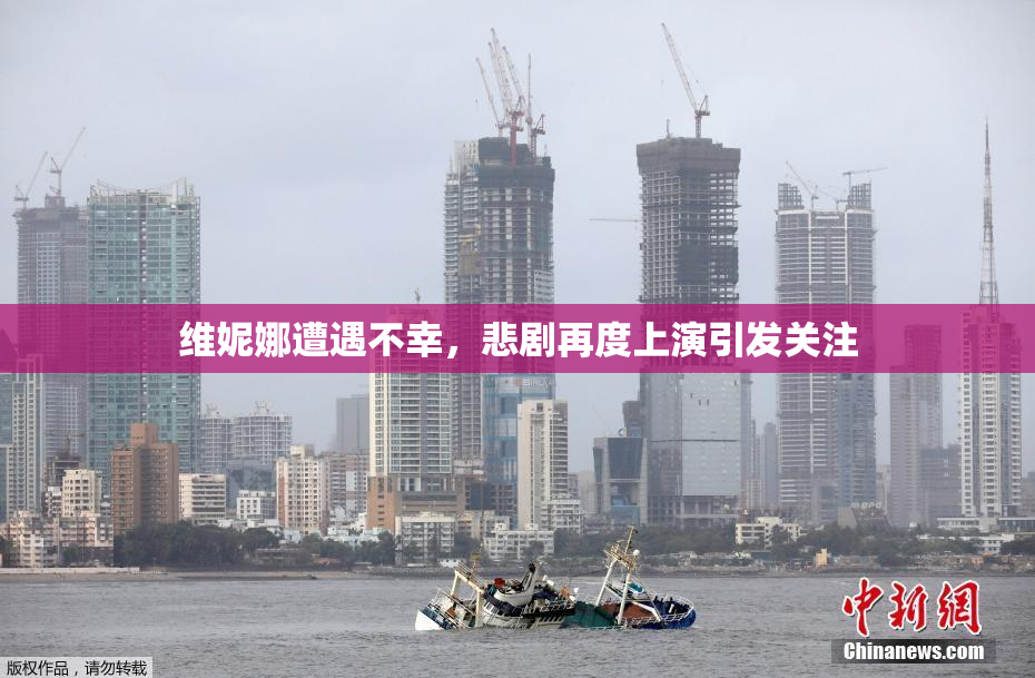 维妮娜遭遇不幸，悲剧再度上演引发关注