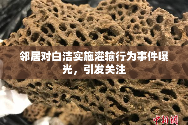 邻居对白洁实施灌输行为事件曝光，引发关注