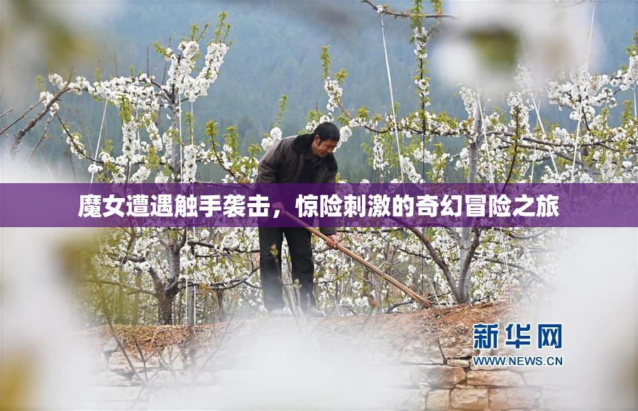 魔女遭遇触手袭击，惊险刺激的奇幻冒险之旅
