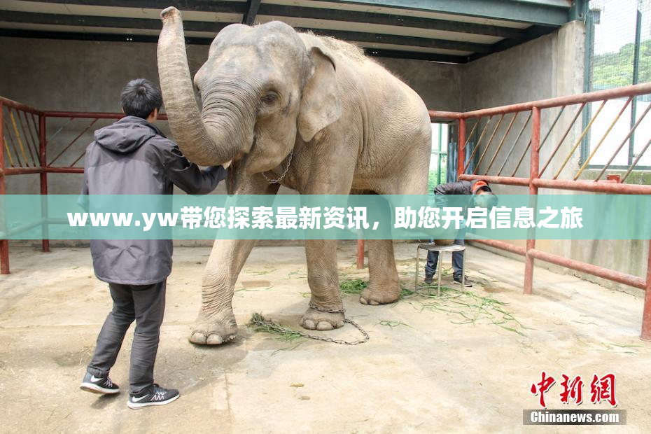 www.yw带您探索最新资讯，助您开启信息之旅