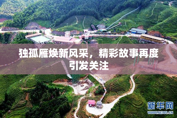 独孤雁焕新风采，精彩故事再度引发关注
