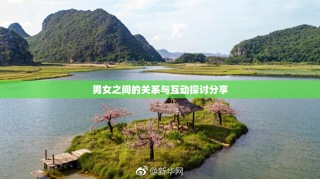 男女之间的关系与互动探讨分享