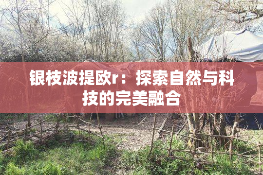 银枝波提欧r：探索自然与科技的完美融合
