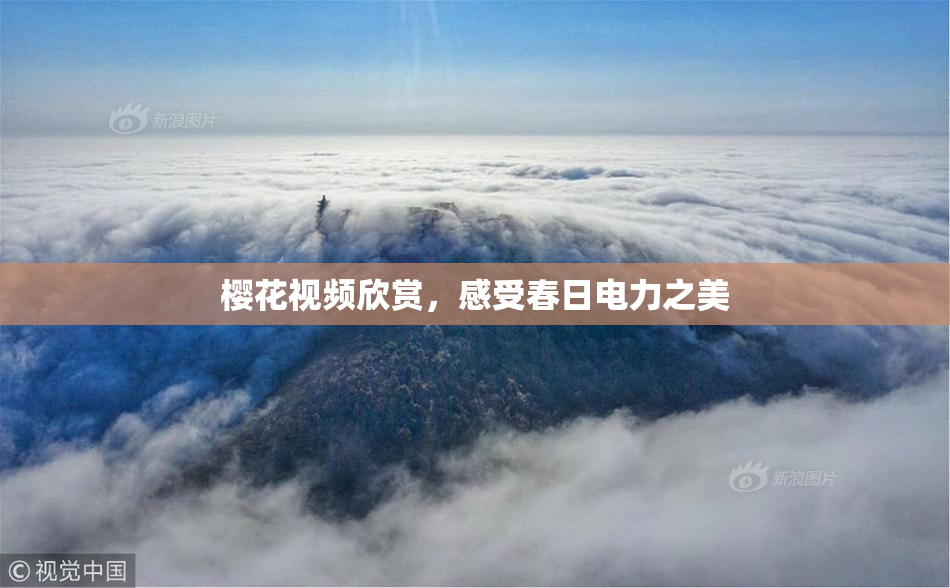 樱花视频欣赏，感受春日电力之美