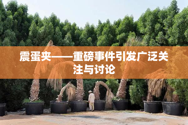 震蛋夹――重磅事件引发广泛关注与讨论