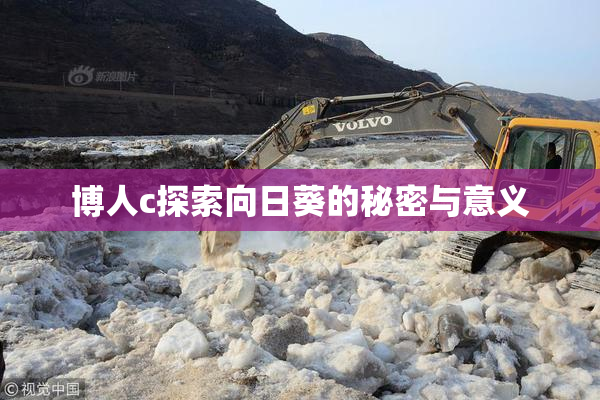 博人c探索向日葵的秘密与意义
