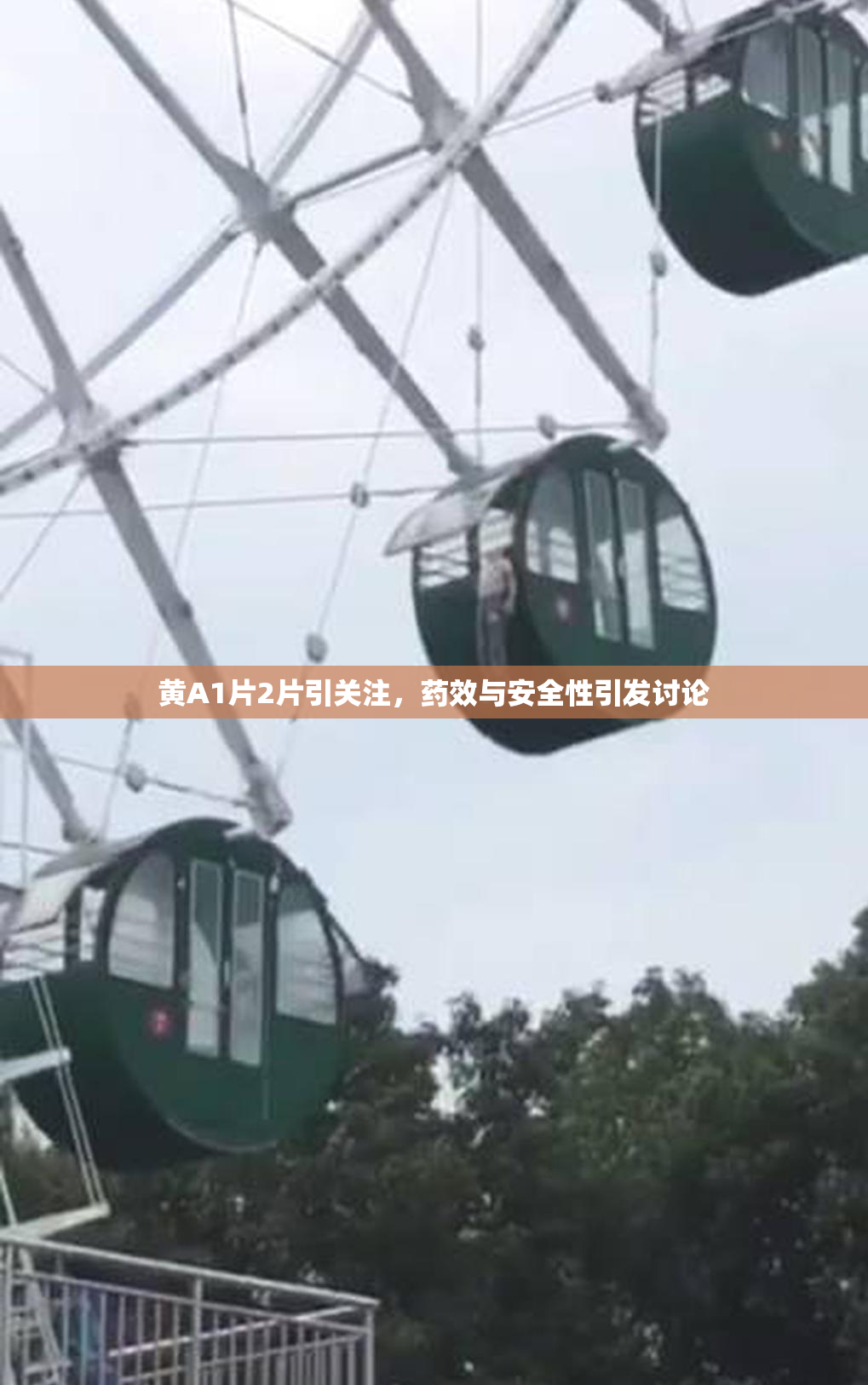 黄A1片2片引关注，药效与安全性引发讨论
