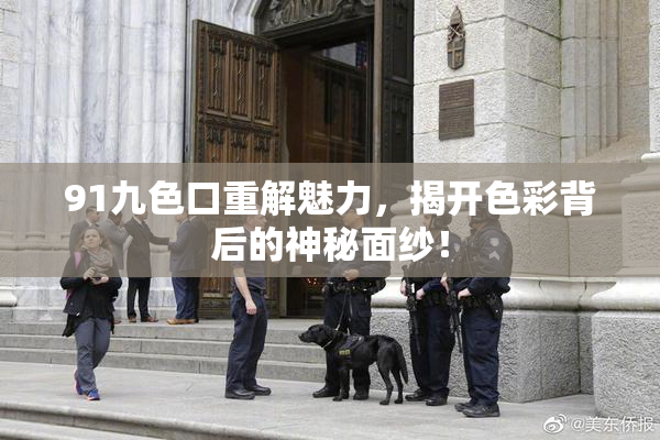 91九色口重解魅力，揭开色彩背后的神秘面纱！