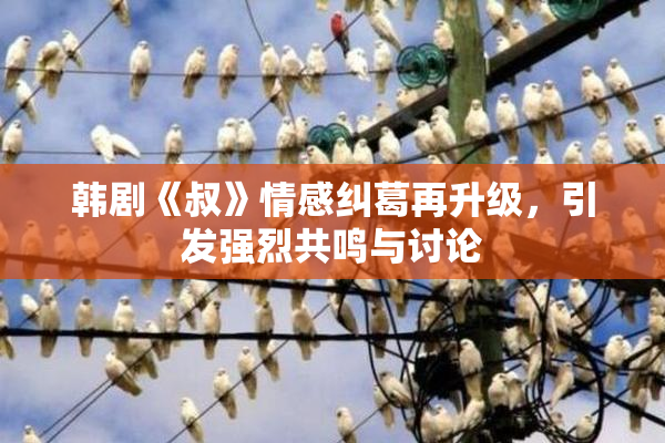 韩剧《叔》情感纠葛再升级，引发强烈共鸣与讨论
