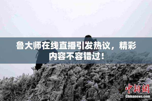 鲁大师在线直播引发热议，精彩内容不容错过！