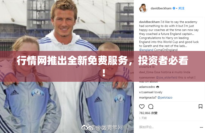 行情网推出全新免费服务，投资者必看！