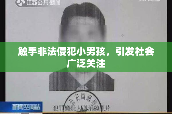 触手非法侵犯小男孩，引发社会广泛关注