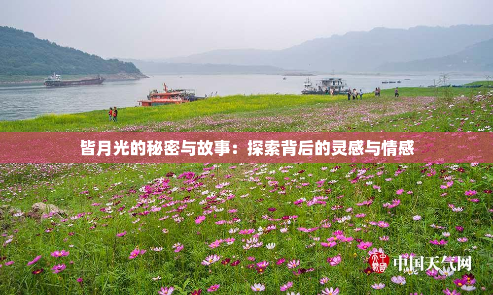皆月光的秘密与故事：探索背后的灵感与情感