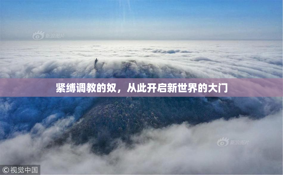 紧缚调教的奴，从此开启新世界的大门