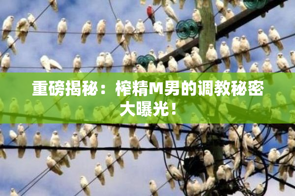 重磅揭秘：榨精M男的调教秘密大曝光！